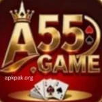 A55 Game