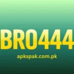 BRO444 Game