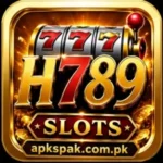 H789 Game