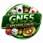 GN55 Game