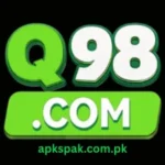Q98 Game